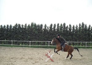 New Cam ;) 002.JPG New Cam ;) 002.JPG