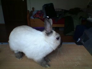 Snapshot_20130502_3.JPG Snapshot_20130502_3.JPG