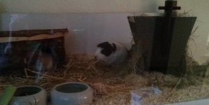 PHOTO_20130529_202605_fx.jpg PHOTO_20130529_202605_fx.jpg