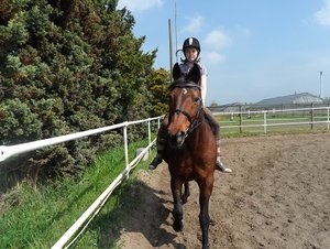 lala rrt 212.JPG lala rrt 212.JPG