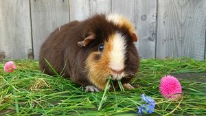 DSC_0176.jpg DSC_0176.jpg