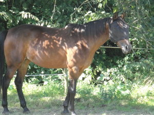 DSC03020_Bildgröße ändern.JPG