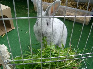 100_3266 (640x480).jpg