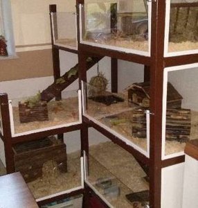 PHOTO_20130529_202518.jpg PHOTO_20130529_202518.jpg