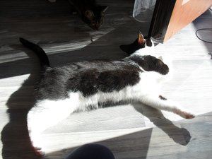 SDC10945.JPG SDC10945.JPG