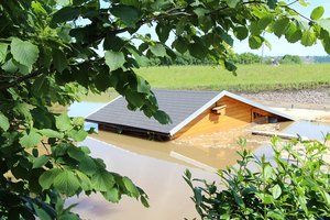 IMG_1230 - Kopie.JPG IMG_1230 - Kopie.JPG