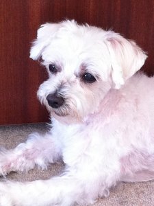 205650_2003968775771_3927929_n.jpg 205650_2003968775771_3927929_n.jpg