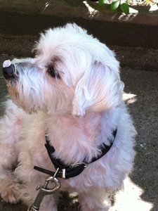 416977_3365326008851_2000407970_n.jpg 416977_3365326008851_2000407970_n.jpg