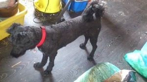 2013-06-12 14.45.18.jpg