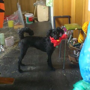 2013-06-12 15.34.12.jpg