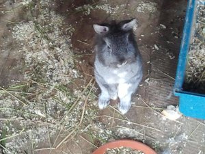 20130525110tfl2jv1kah.jpg 20130525110tfl2jv1kah.jpg