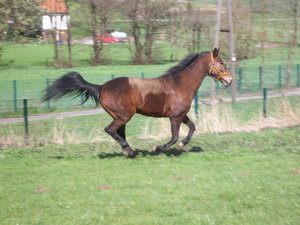 MD004467_Bildgröße ändern.JPG