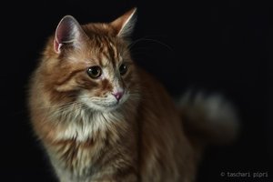 312344_10200332724031375_1914028326_n.jpg 312344_10200332724031375_1914028326_n.jpg