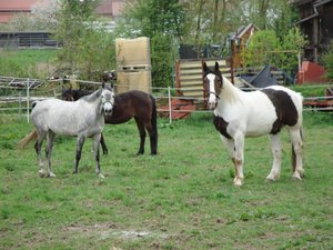 969766_377206742385268_1887889179_n.jpg 969766_377206742385268_1887889179_n.jpg