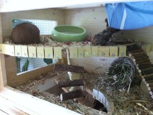 IMG_0752.JPG IMG_0752.JPG