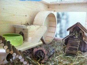 IMG_0753.JPG IMG_0753.JPG