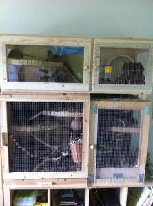 IMG_0751.JPG IMG_0751.JPG