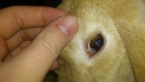 DSC_2409 (640x360).jpg