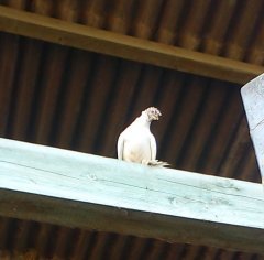 af7227d3.s.jpg af7227d3.s.jpg