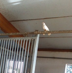 de42d442.m.jpg de42d442.m.jpg