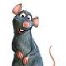 ratten4ever