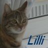 *Lilli