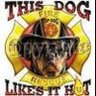 FireDog