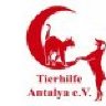 Tierhilfe Antalya