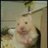 Ix3hamster