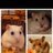 HamsterHeart
