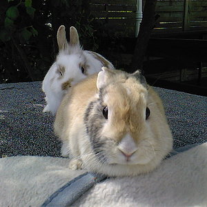 Jule und Minou (R.I.P) :(