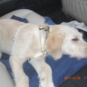 3 Monate ungefähr :D