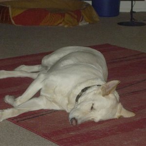 Schlaf schön Süße!