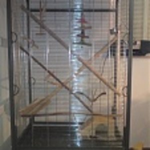 B Käfig2:
1. Nachfolger mit den Maßen 89x58x1.30