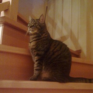 Cindy im Treppenhaus