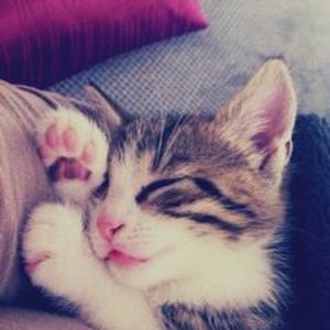 644483 547370971945918 936714889 n