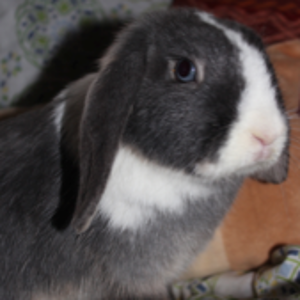 Lani. Meine Schöne ;-)