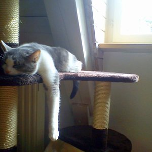 schöön entspannen :)