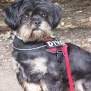 268263 145685845507508 100001982810338 283626 5439461 a