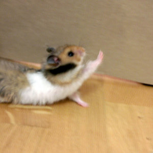 Uuuuuh bin ich noch müüüüde... :O