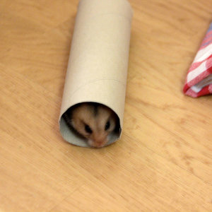 Huch da is sie ja :D