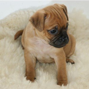 26528 1300616191308 1107522582 30801215 1067654 n