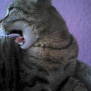 563174 277627298997031 1476201956 n