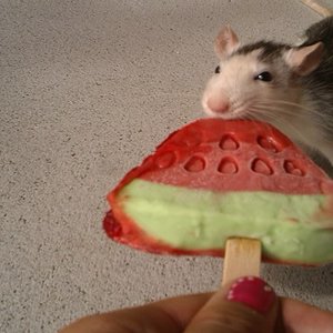 Cola ♀
Ich weis sie sollte kein Eis essen.Es war aber nur das eine mal ;)