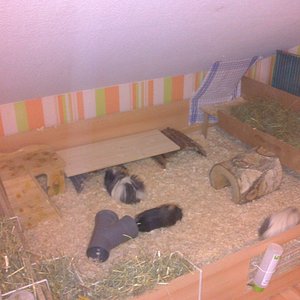 Bodengehege 2,00*1,50