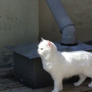 Lisa findet es draußen ganz toll :)