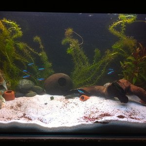 frisch eingerichtet ;)