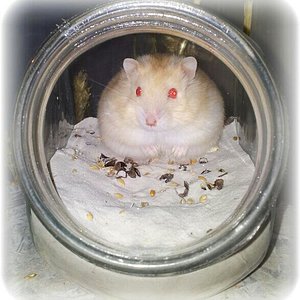 11819 10201190851439755 834132150 n