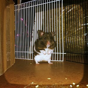 310849 10201243171187716 827639995 n