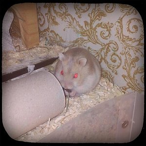 484052 10201097551747321 1623654388 n